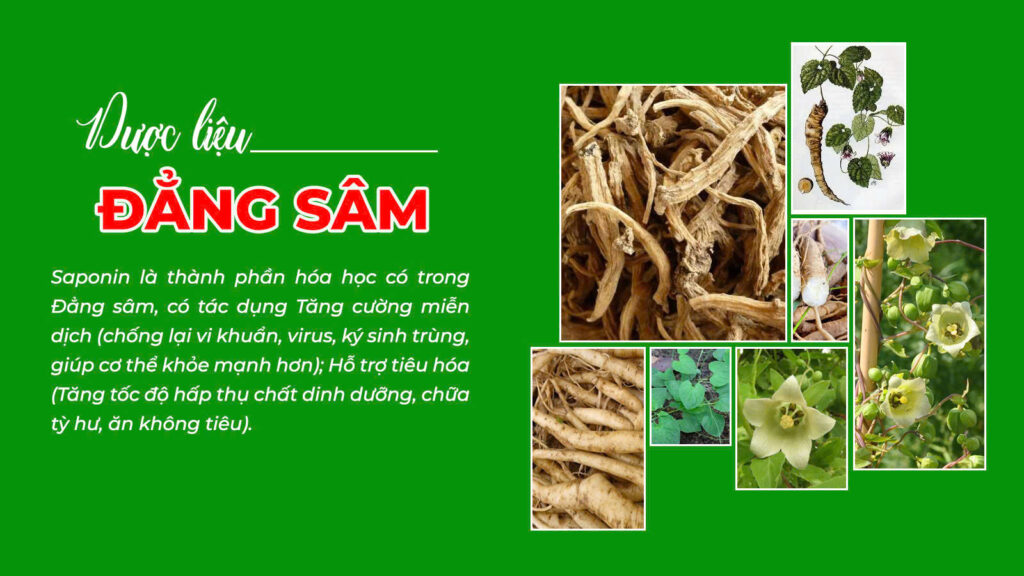 Câu chuyện suy dinh dưỡng