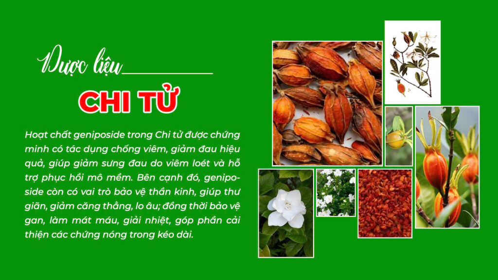Câu chuyện tam hoàng giải độc
