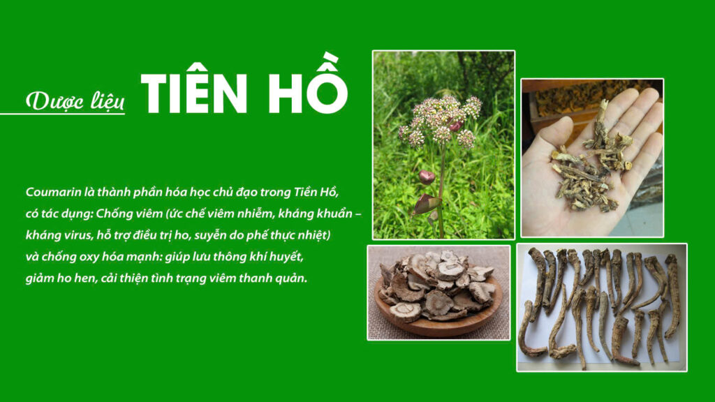 Câu chuyện thanh quản