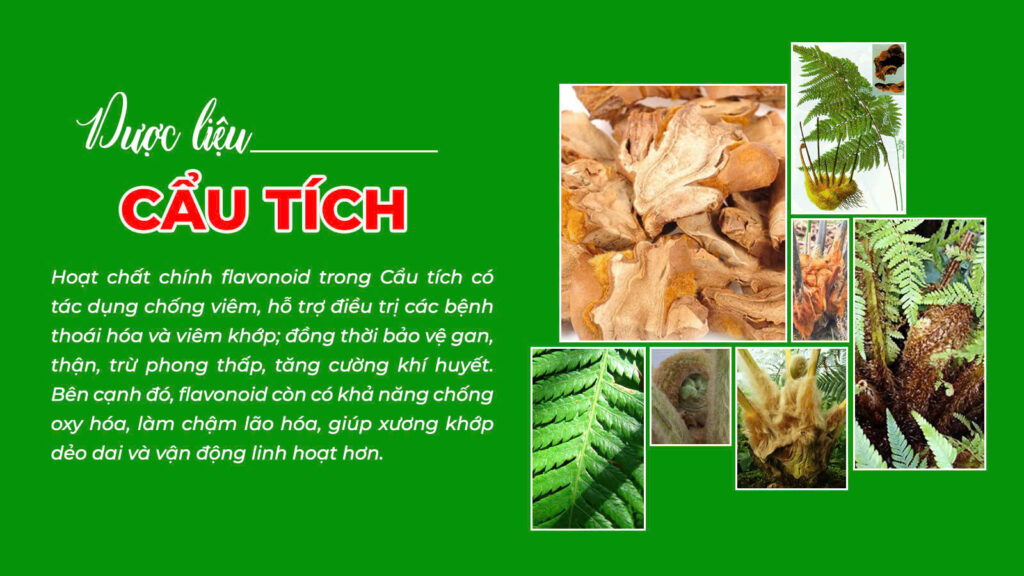 Câu chuyện xương khớp viên nang