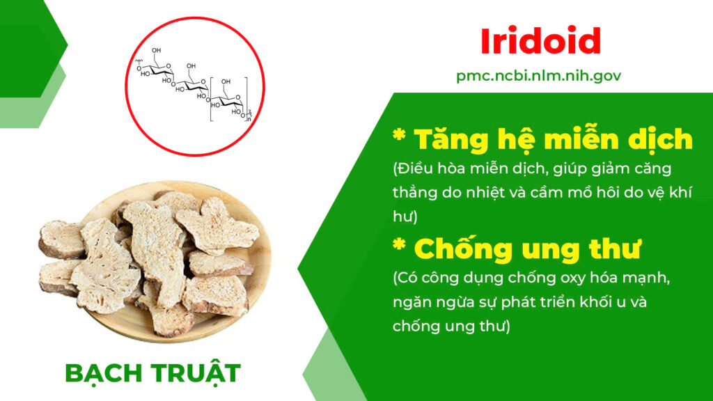 Thành phần hoá học Bổ thận thuỷ 