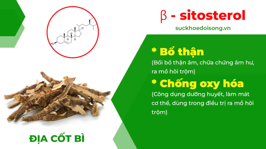 Thành phần hoá học Bổ thận thuỷ 