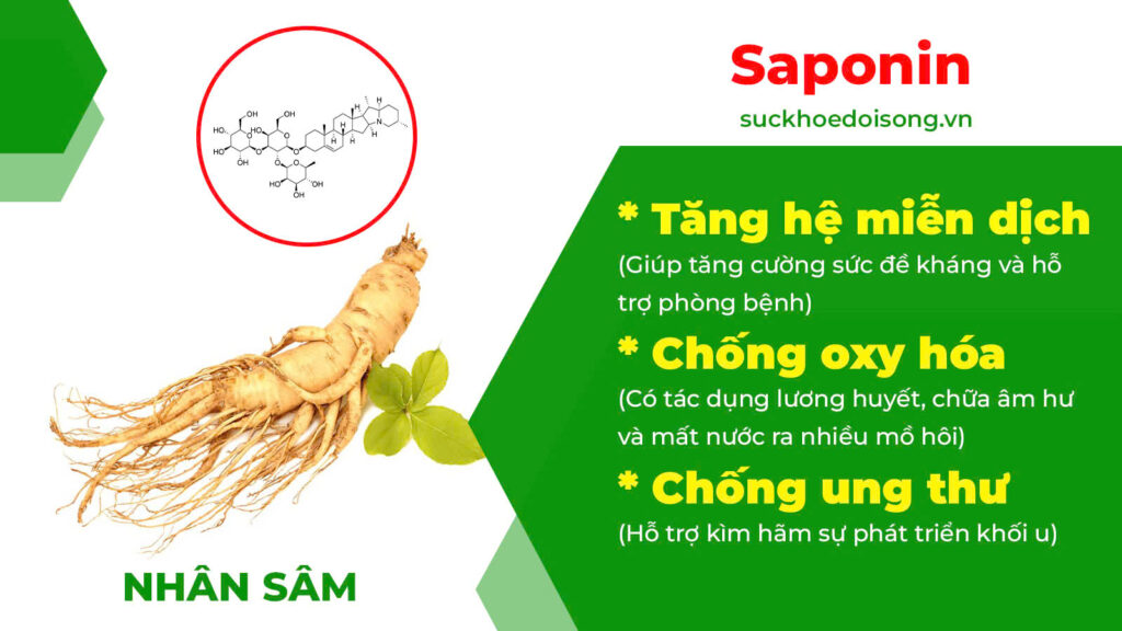 Thành phần hoá học Bổ thận thuỷ 