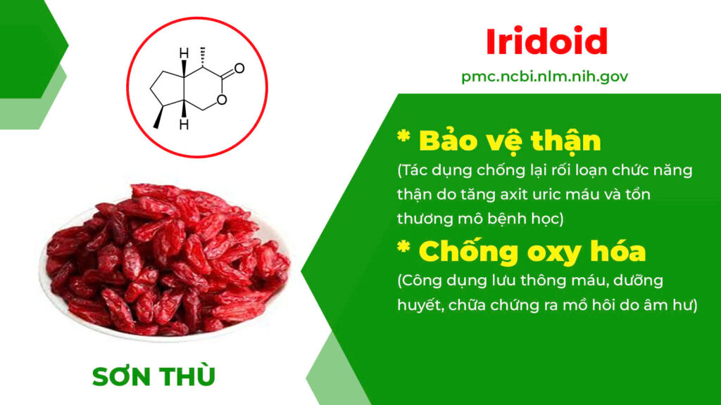 Thành phần hoá học Bổ thận thuỷ 