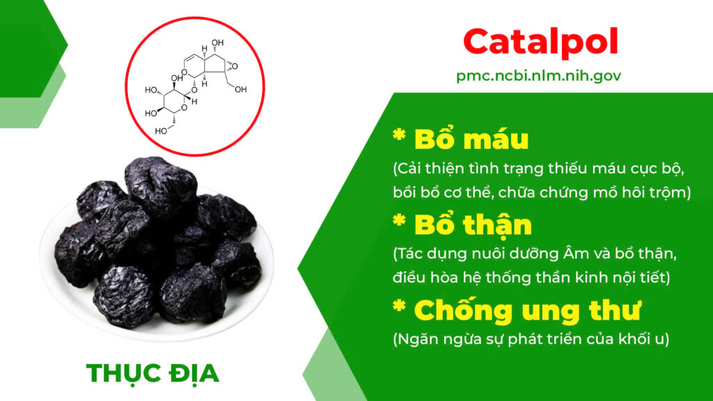 Thành phần hoá học Bổ thận thuỷ 