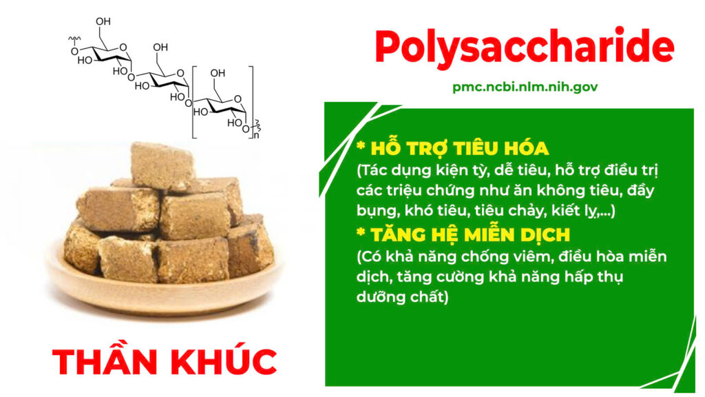 Thành phần hoá học Kiện tỳ tiêu thực 