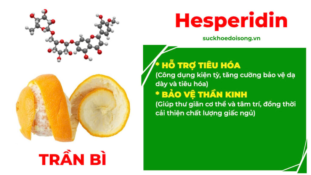 Thành phần hoá học Kiện tỳ tiêu thực 
