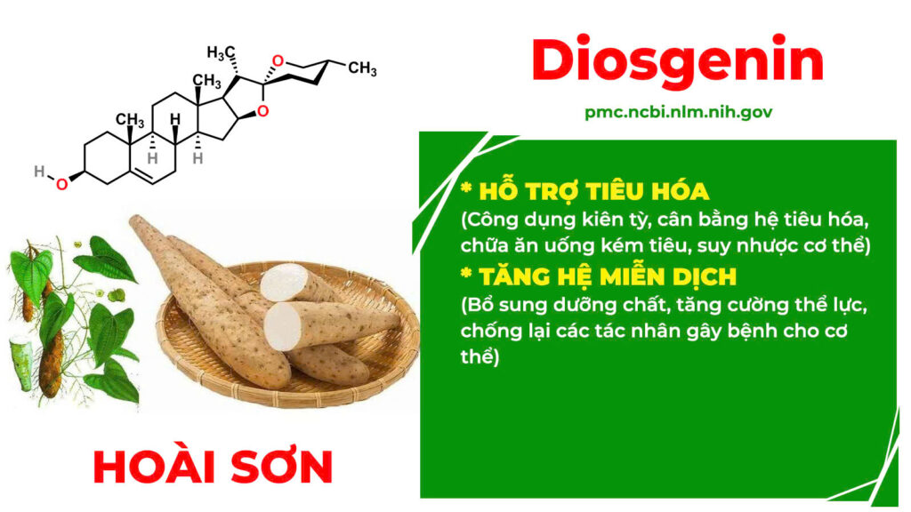 Thành phần hoá học Kiện tỳ tiêu thực 