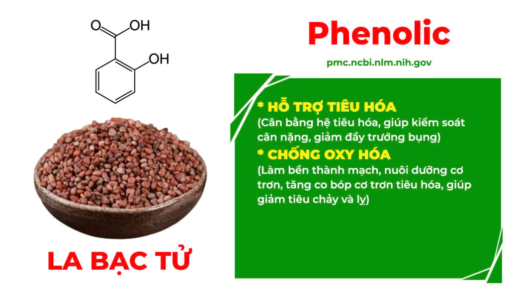 Thành phần hoá học Kiện tỳ tiêu thực 