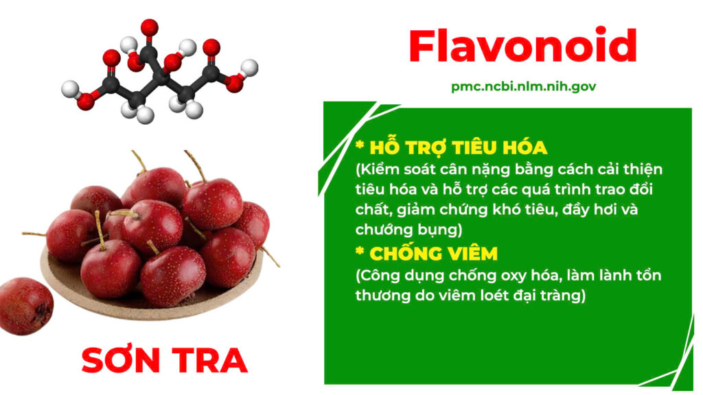 Thành phần hoá học Kiện tỳ tiêu thực 