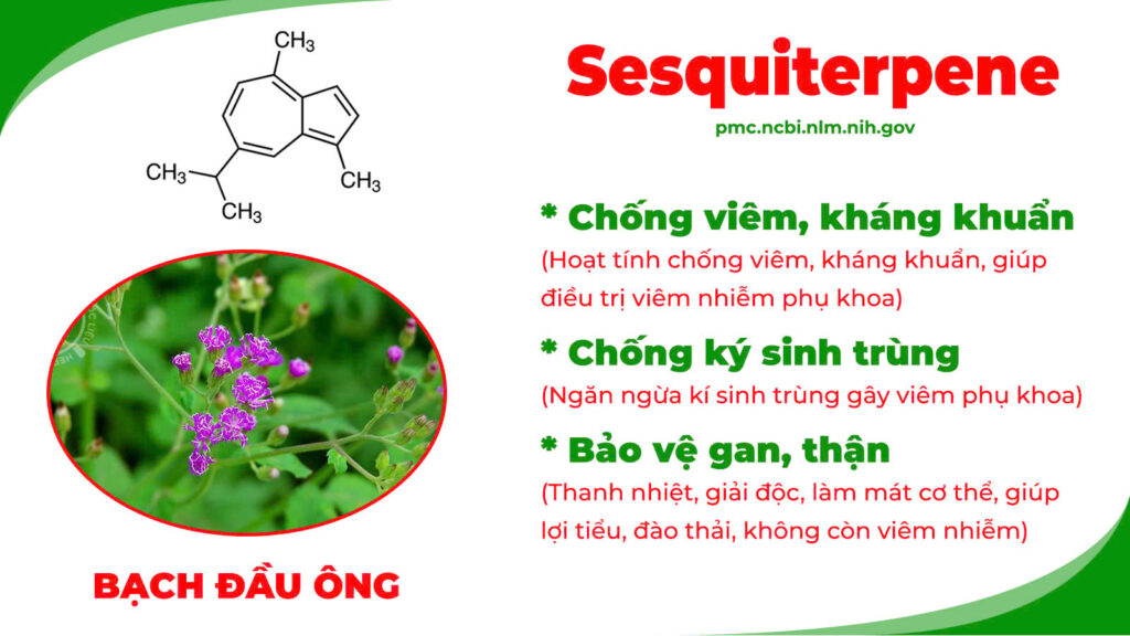 Thành phần hoá học Ngô thù du 