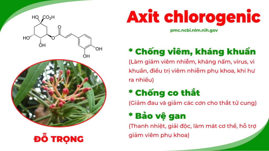 Thành phần hoá học Ngô thù du 