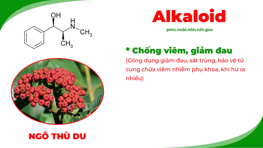 Thành phần hoá học Ngô thù du 