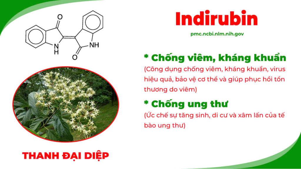 Thành phần hoá học Ngô thù du 