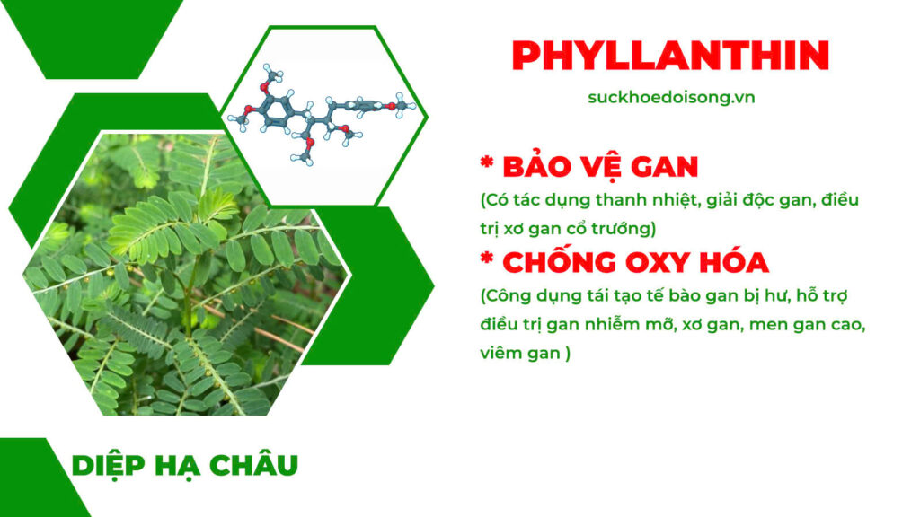 Thành phần hoá học Ôn dương hành tuỷ