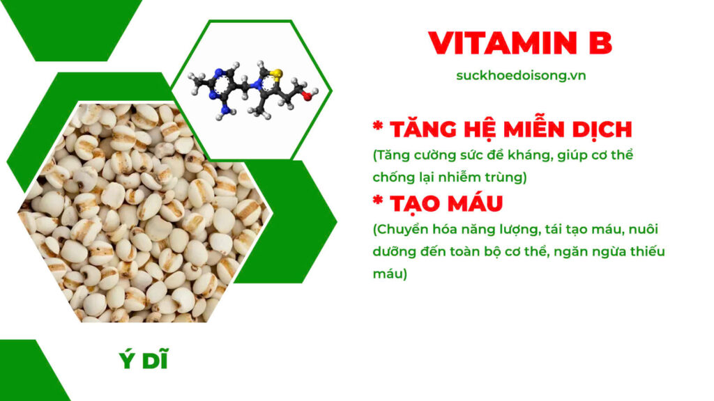 Thành phần hoá học Ôn dương hành tuỷ