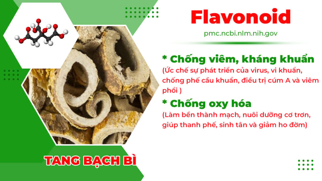 Thành phần hoá học Phế quản ống 
