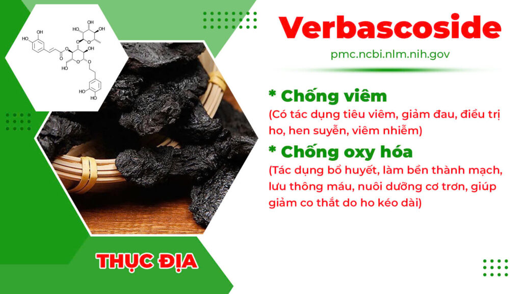 Thành phần hoá học Phế quản ống 