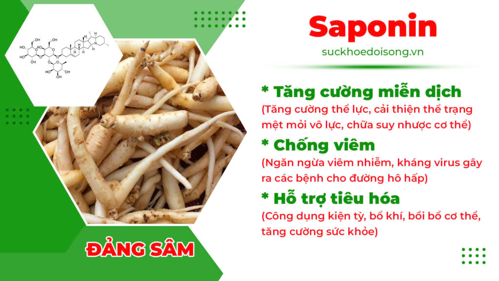 Thành phần hoá học Phế quản ống 