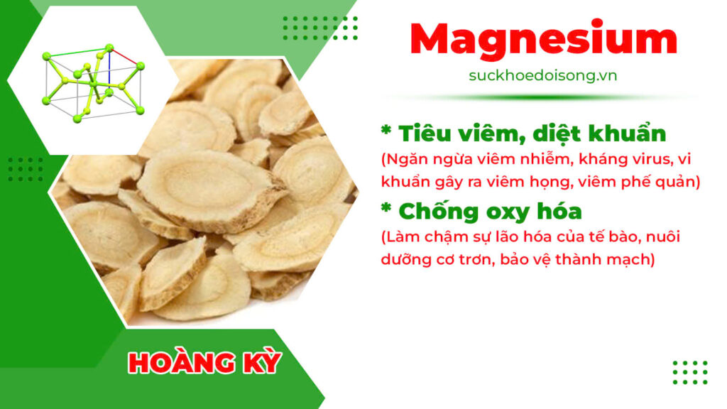 Thành phần hoá học Phế quản ống 