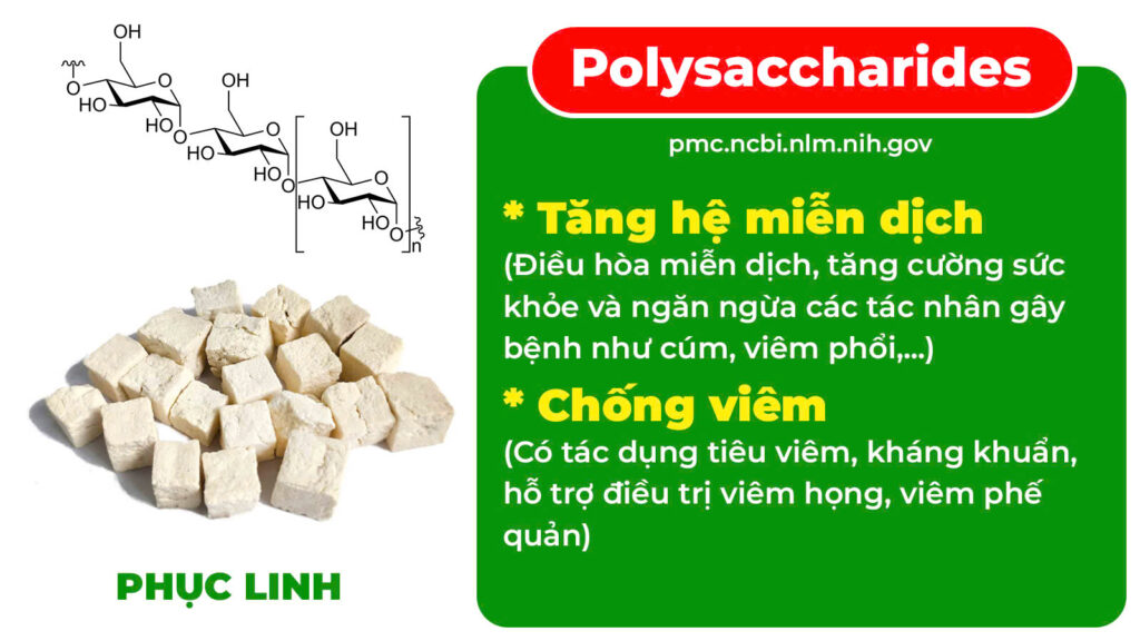 Thành phần hoá học Phế quản viên nén