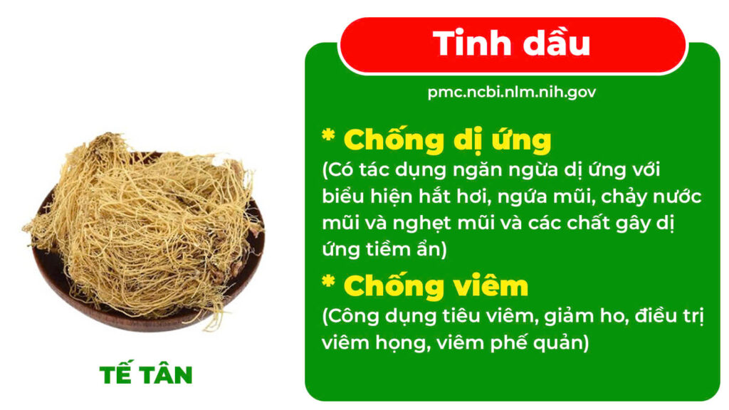 Thành phần hoá học Phế quản viên nén