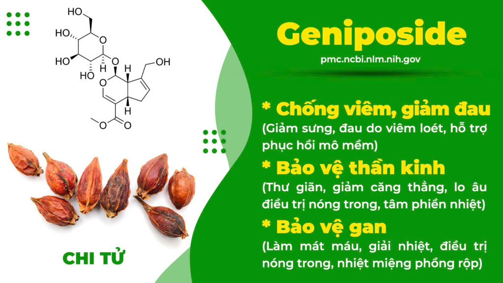 Thành phần hoá học Tam hoàng giải độc 