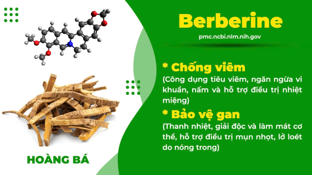 Thành phần hoá học Tam hoàng giải độc 
