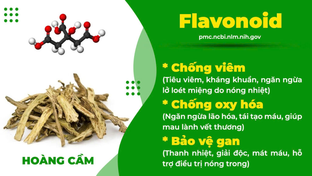 Thành phần hoá học Tam hoàng giải độc 