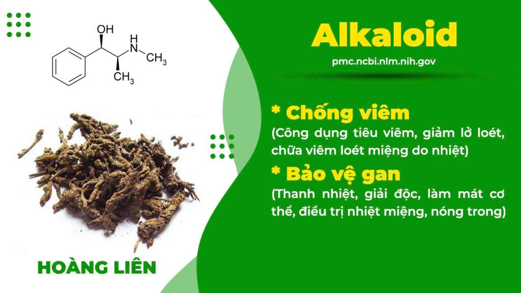 Thành phần hoá học Tam hoàng giải độc 