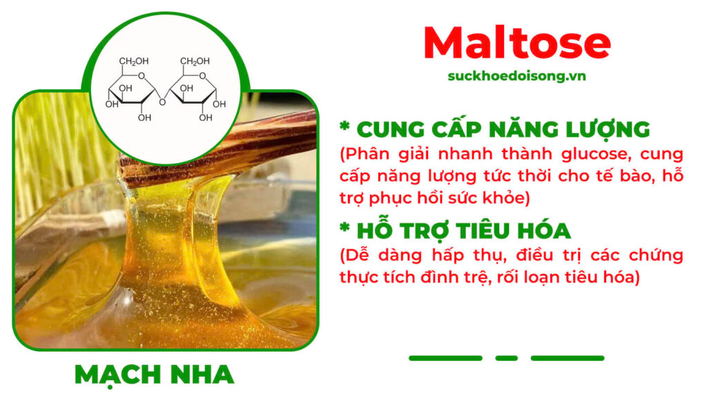 Thành phần hoá học Thanh can mộc 