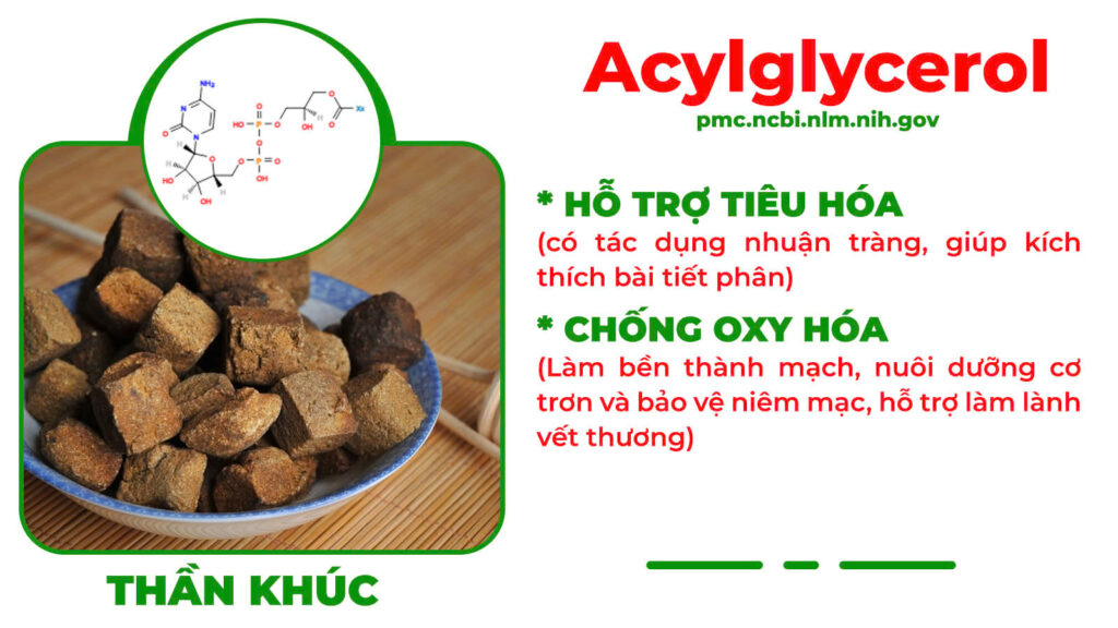 Thành phần hoá học Thanh can mộc 