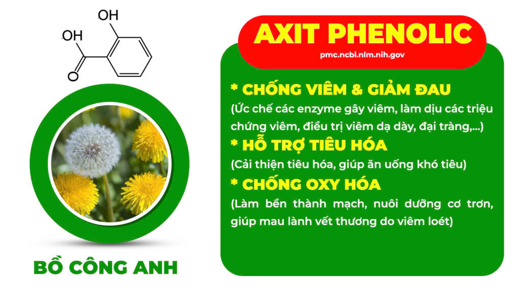 Thành phần hoá học an dạ dày