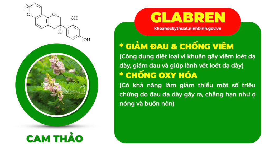 Thành phần hoá học an dạ dày