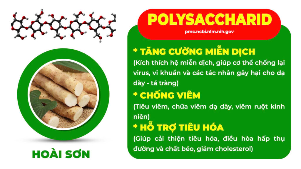 Thành phần hoá học an dạ dày