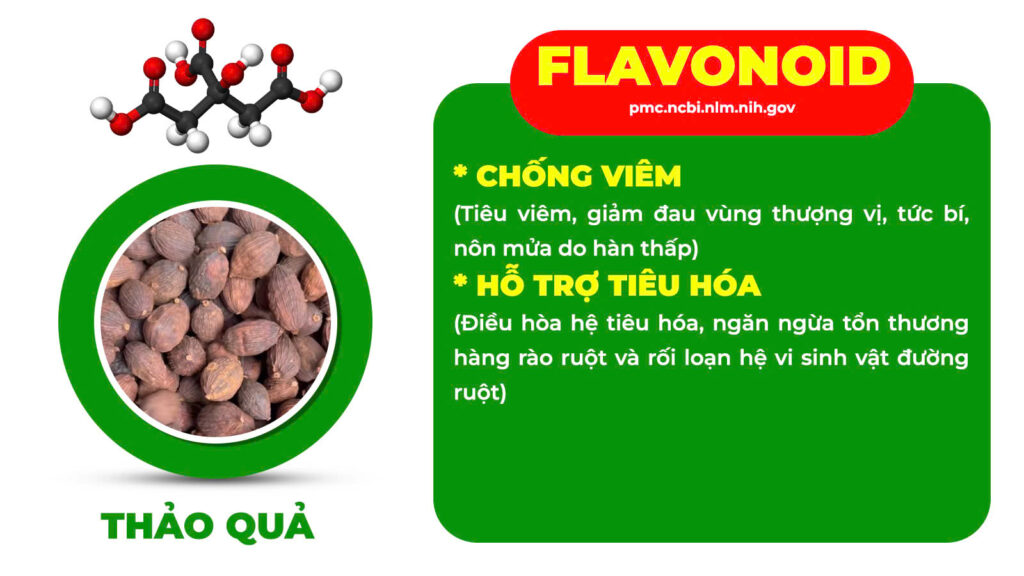 Thành phần hoá học an dạ dày