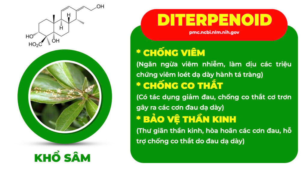 Thành phần hoá học an dạ dày
