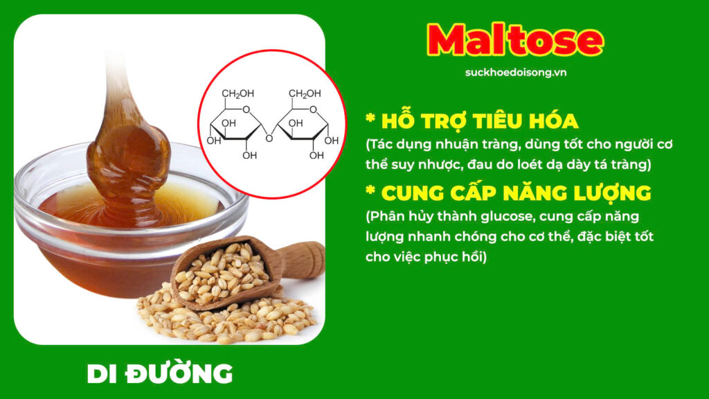 Thành phần hoá học dạ dày ống