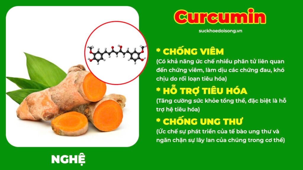 Thành phần hoá học dạ dày ống