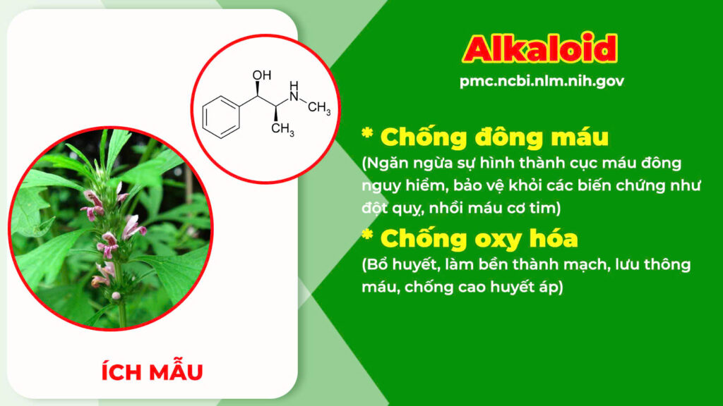 Thành phần hoá học dạ giao đằng