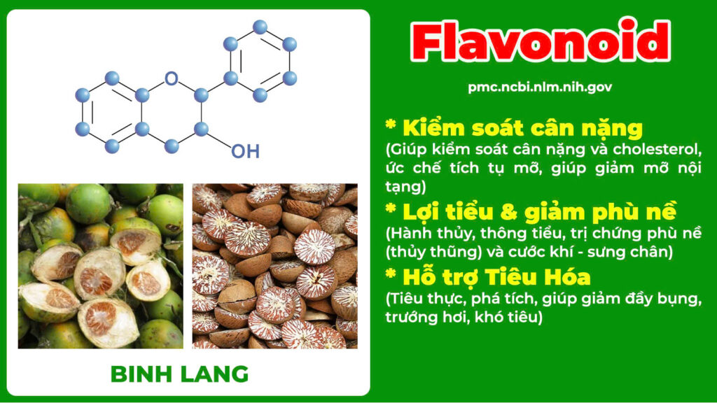 Thành phần hoá học dáng thanh
