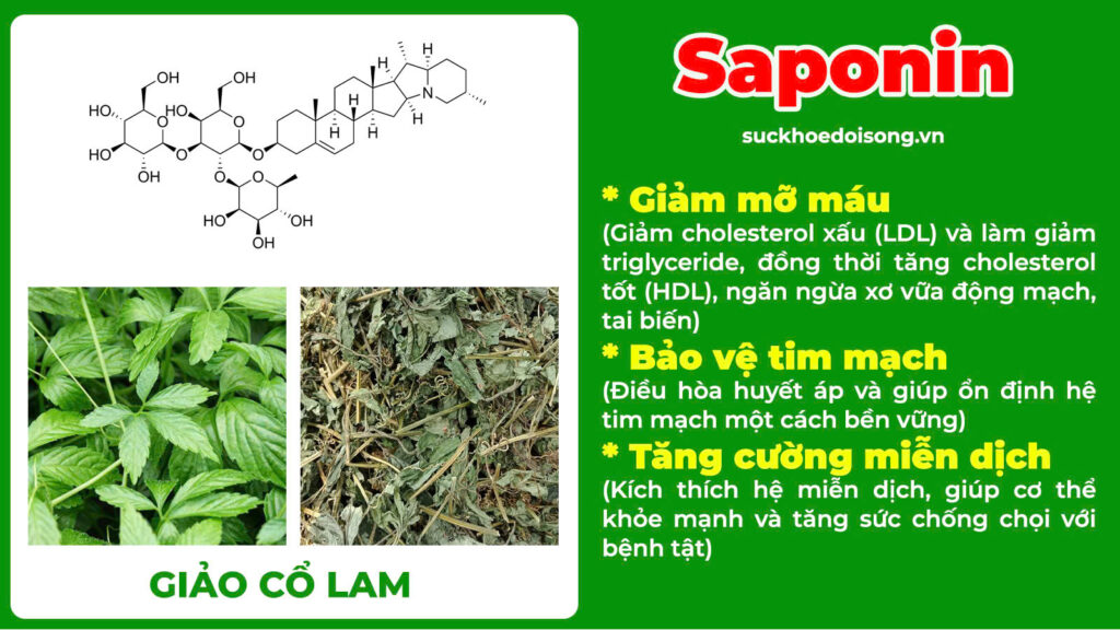 Thành phần hoá học dáng thanh