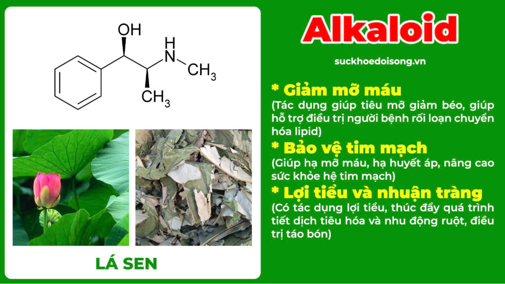 Thành phần hoá học dáng thanh