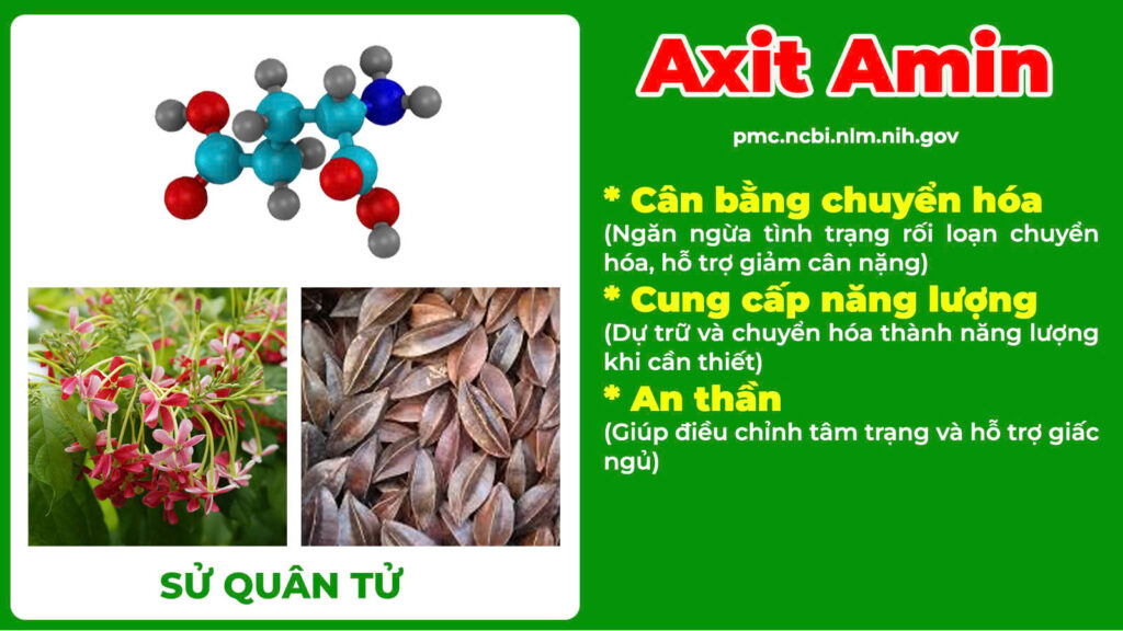 Thành phần hoá học dáng thanh