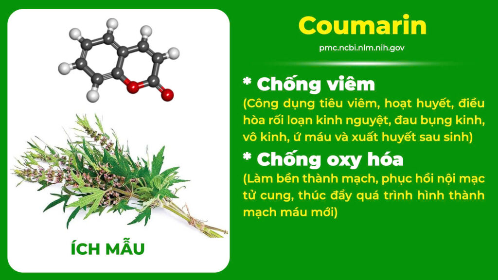 Thành phần hoá học điều kinh