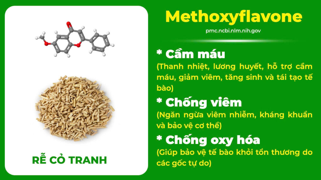 Thành phần hoá học điều kinh