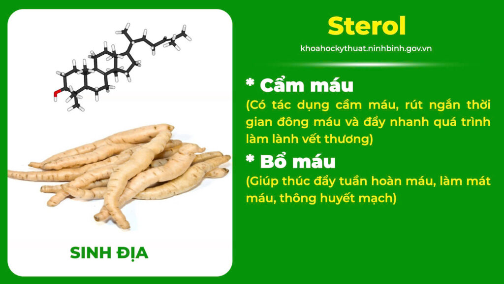 Thành phần hoá học điều kinh