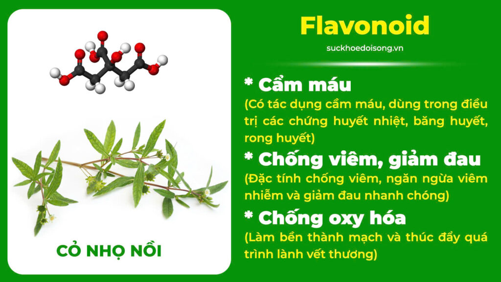 Thành phần hoá học điều kinh