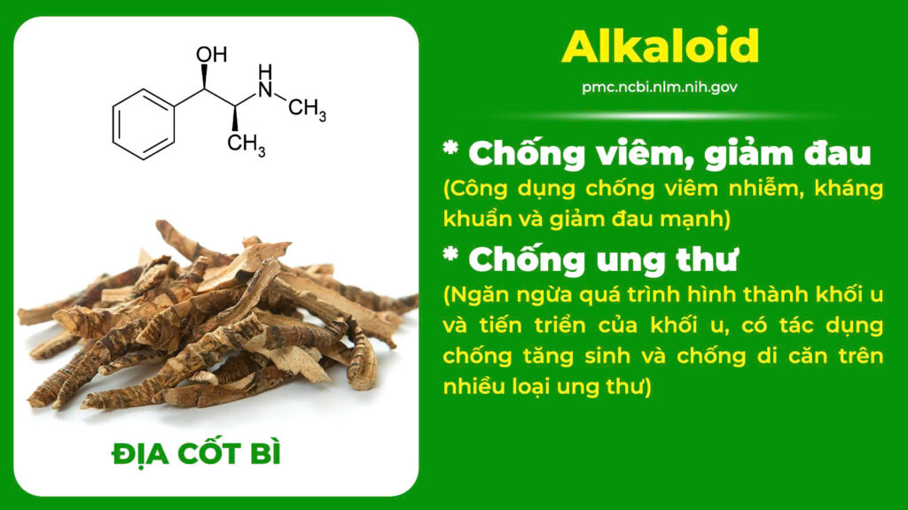 Thành phần hoá học điều kinh
