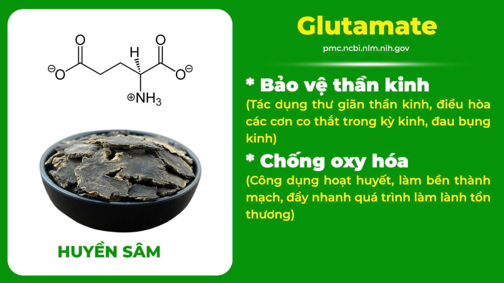 Thành phần hoá học điều kinh